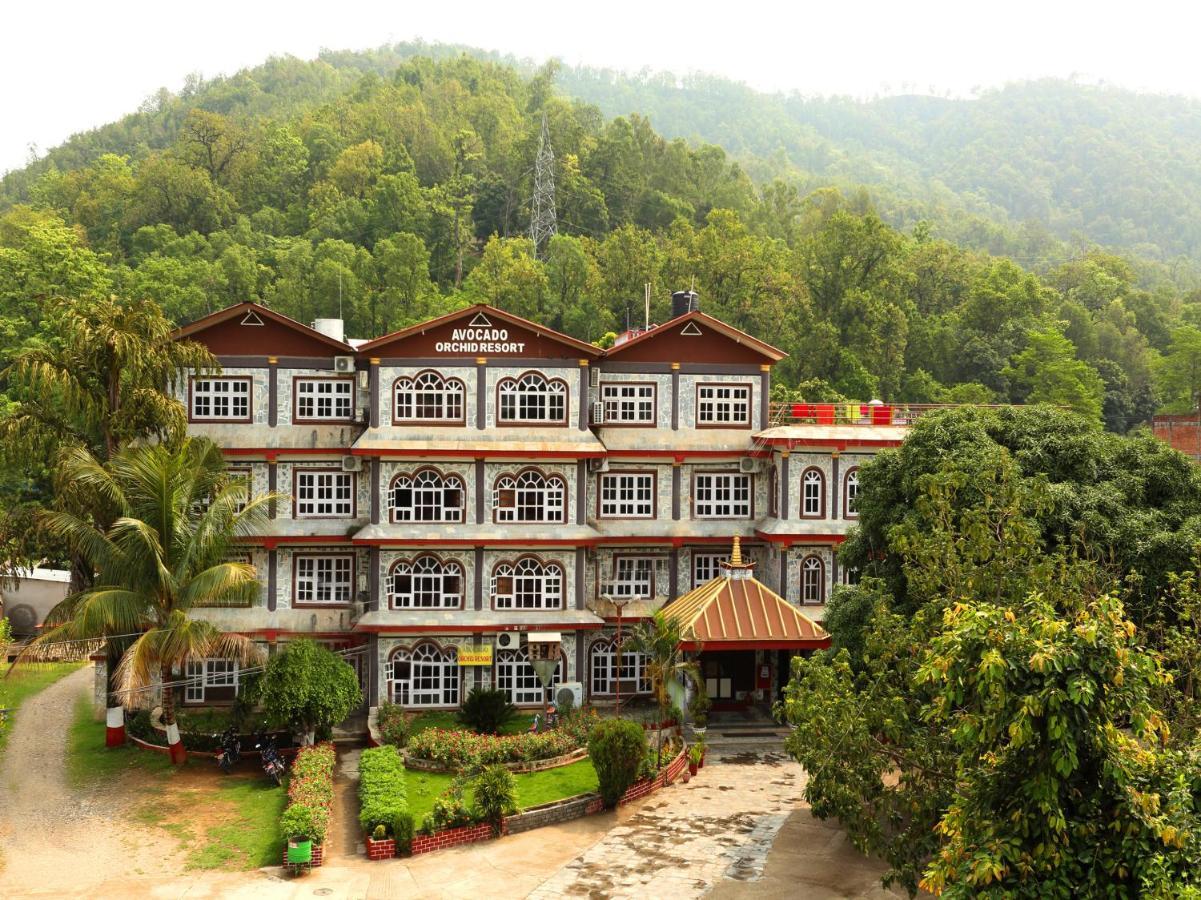 Avocado Orchid Resort Hetauda Exteriör bild